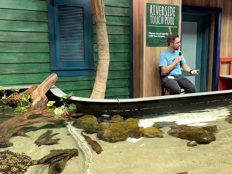 Man in blue shirt sits near a "Riverside Touch Pool" with clear water and rocks, holding a microphone against a green and wood-patterned wall.