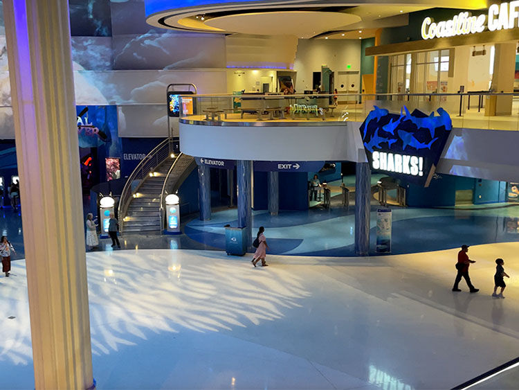 Spacious indoor scene with people walking, a spiral staircase, and blue ocean-themed decor. Sign reads "Sharks!" near Coastaline Café.