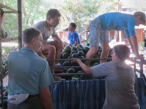 unloading a watermelon truck