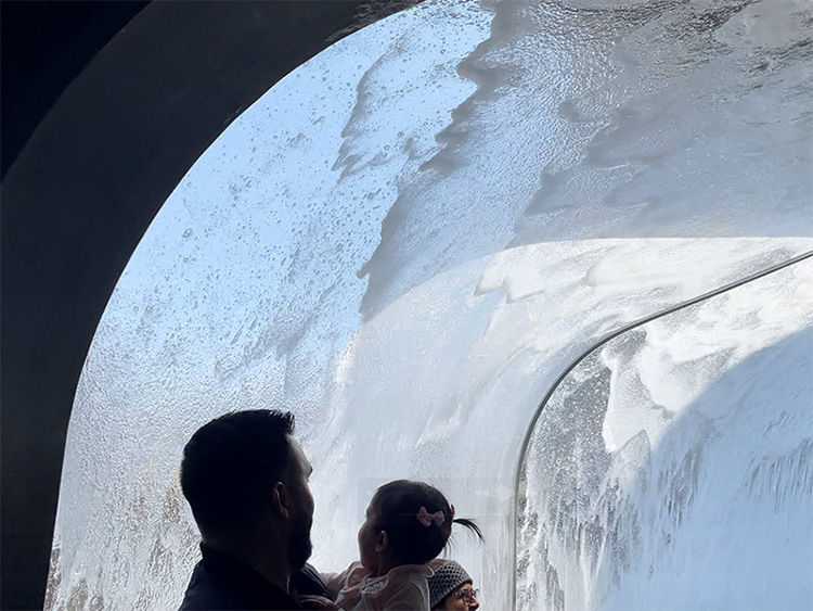 A man holds a child, both silhouetted, gazing at flowing water above through an arched glass tunnel, creating a serene, awe-struck mood.