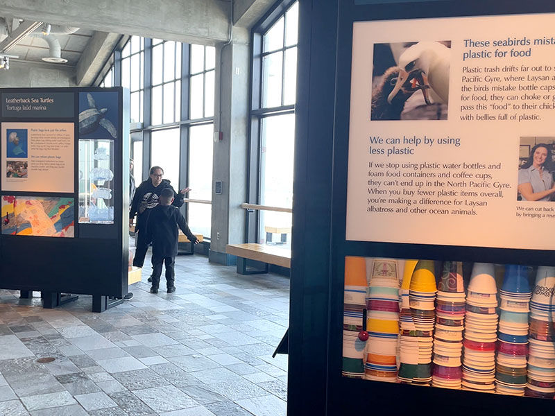 Two people in a museum exhibit space with informational panels on plastic pollution and sea life. Large windows let in natural light.