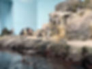 Penguins on rocky terrain with a person peering through a tunnel in a blue-walled enclosure, creating a lively and curious atmosphere.