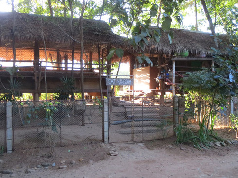 Cat Kingdom at Elephant Nature Park