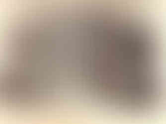 drawing of Cooper Union