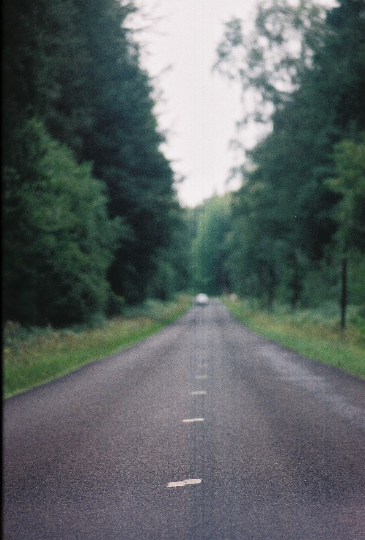 'Afgedwaald van 't Wandelpad'