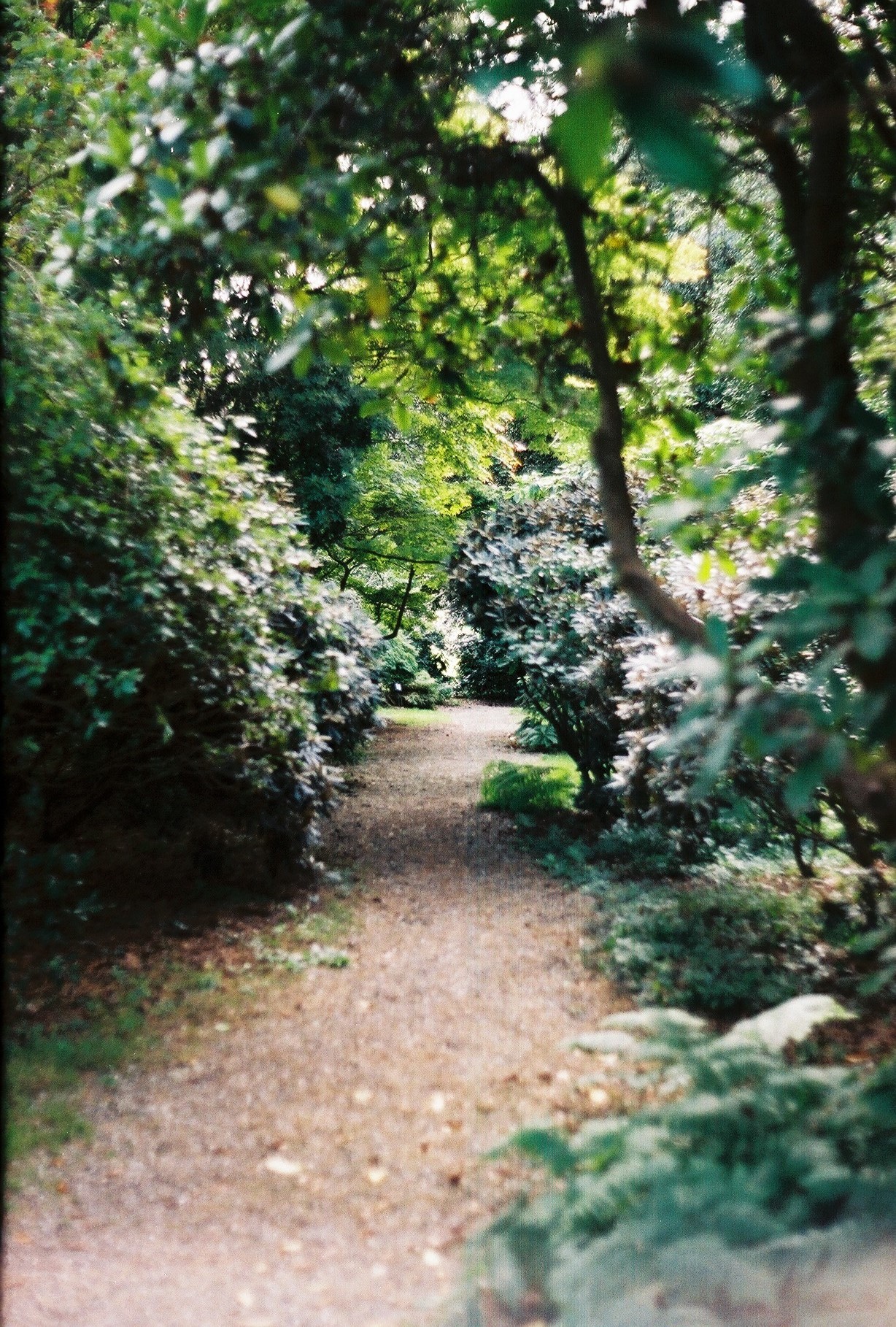 'Pad van d'Orangerie'