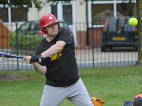 Seagulls steal the show