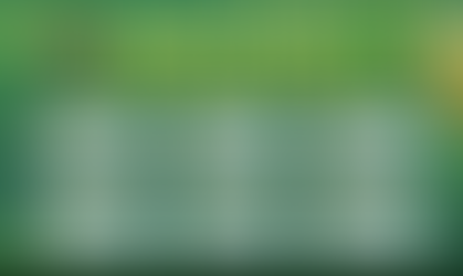 Africa Cup Of Nations