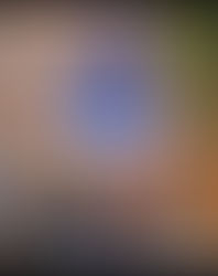 Happy Birthday Miss Bella Johnson