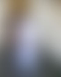 Political Sustainability