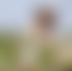 The Caffe Fashion Blog Online Awards Categories And Nominees for the best actor of the [century]