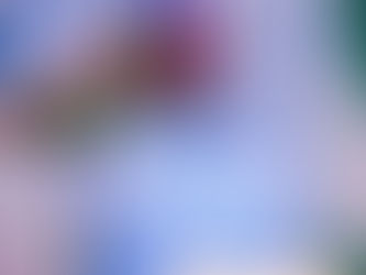 About Nigeria President Bola Tinubu.