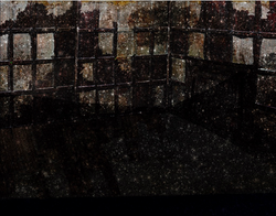 Screen Shot 2023-08-09 at 11.46.52 PM