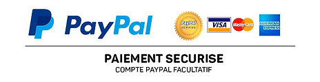 paypal_image (1).png