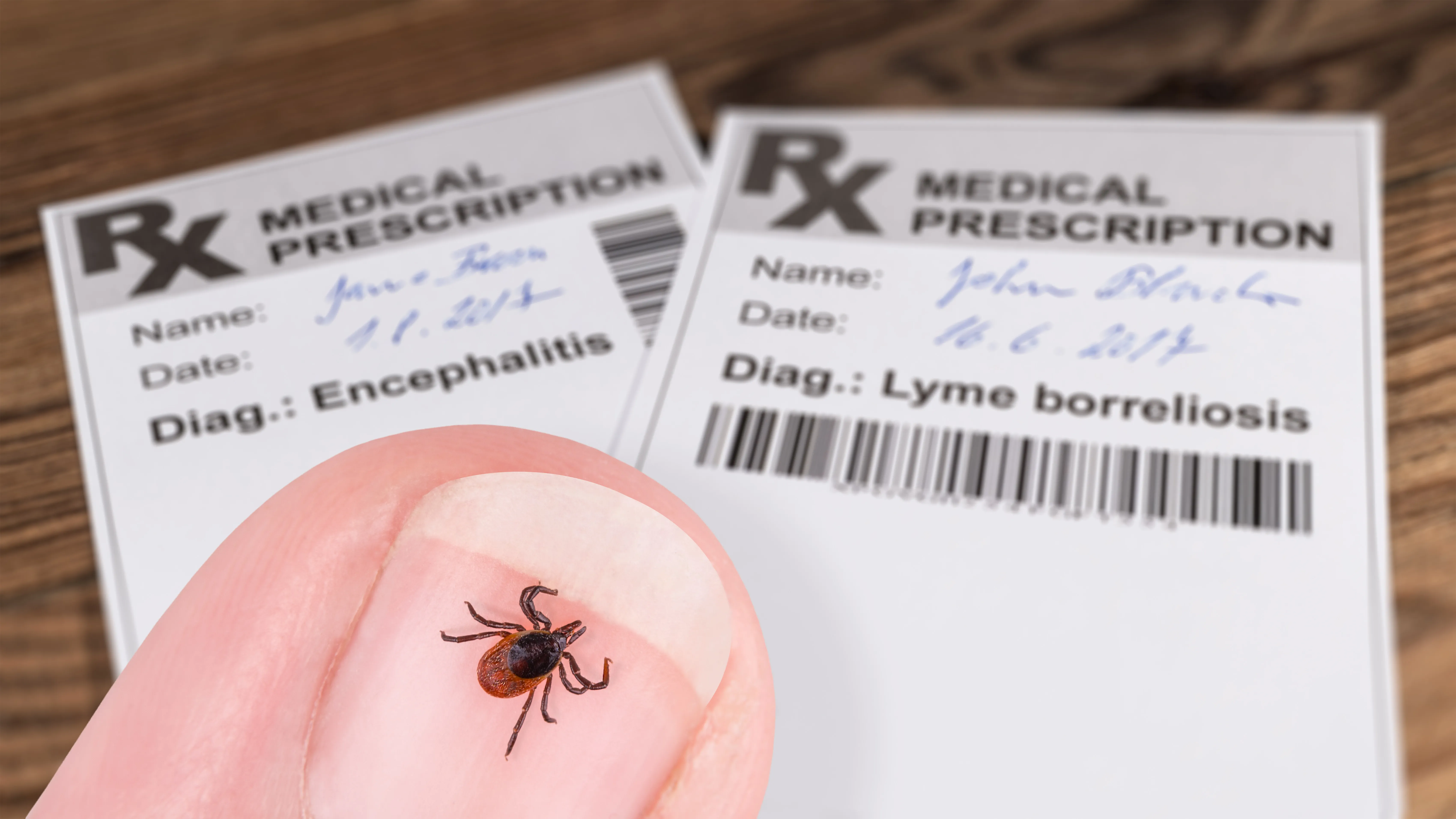 Tique sur doigt, maladie de Lyme et analyse médicale