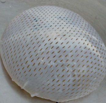 SACCHETTO.jpg