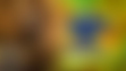 Isenção do IR 2026 começa a valer e zera imposto para quem ganha até R$ 5 mil. Entenda o que muda