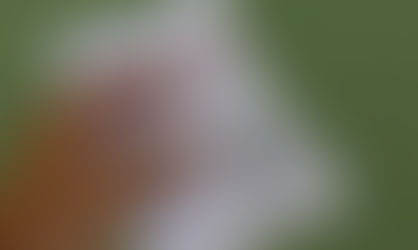 MPT recomenda exigir comprovante de vacinação no local de trabalho