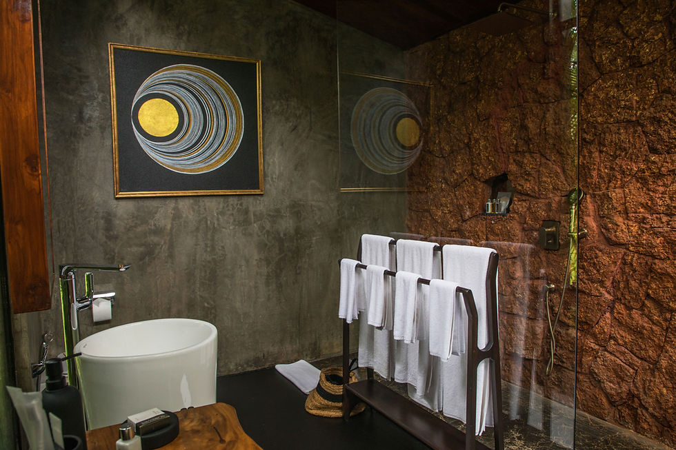 Luxury Bathroom with art, towels, and a sink.