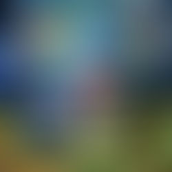 André Jardine, FELIZ ANIVERSÁRIO!