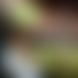 Heron Ferreira no TEMPO TÉCNICO