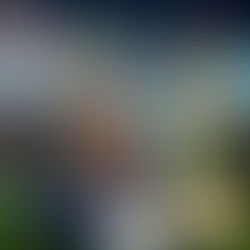 Luxa! Feliz Aniversário!