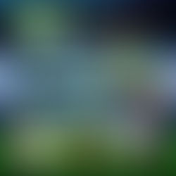 Umberto Louzer no FALA TREINADOR