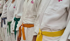 Progresser au Judo