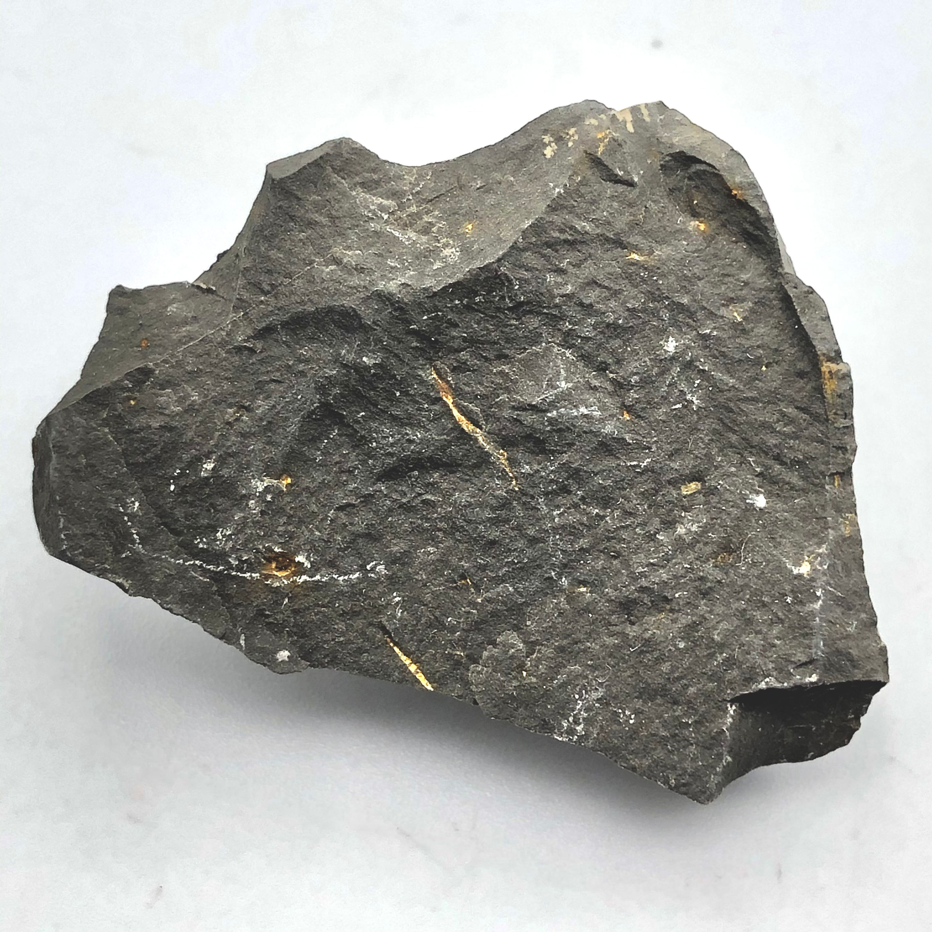 Mudstone (Lamito)
