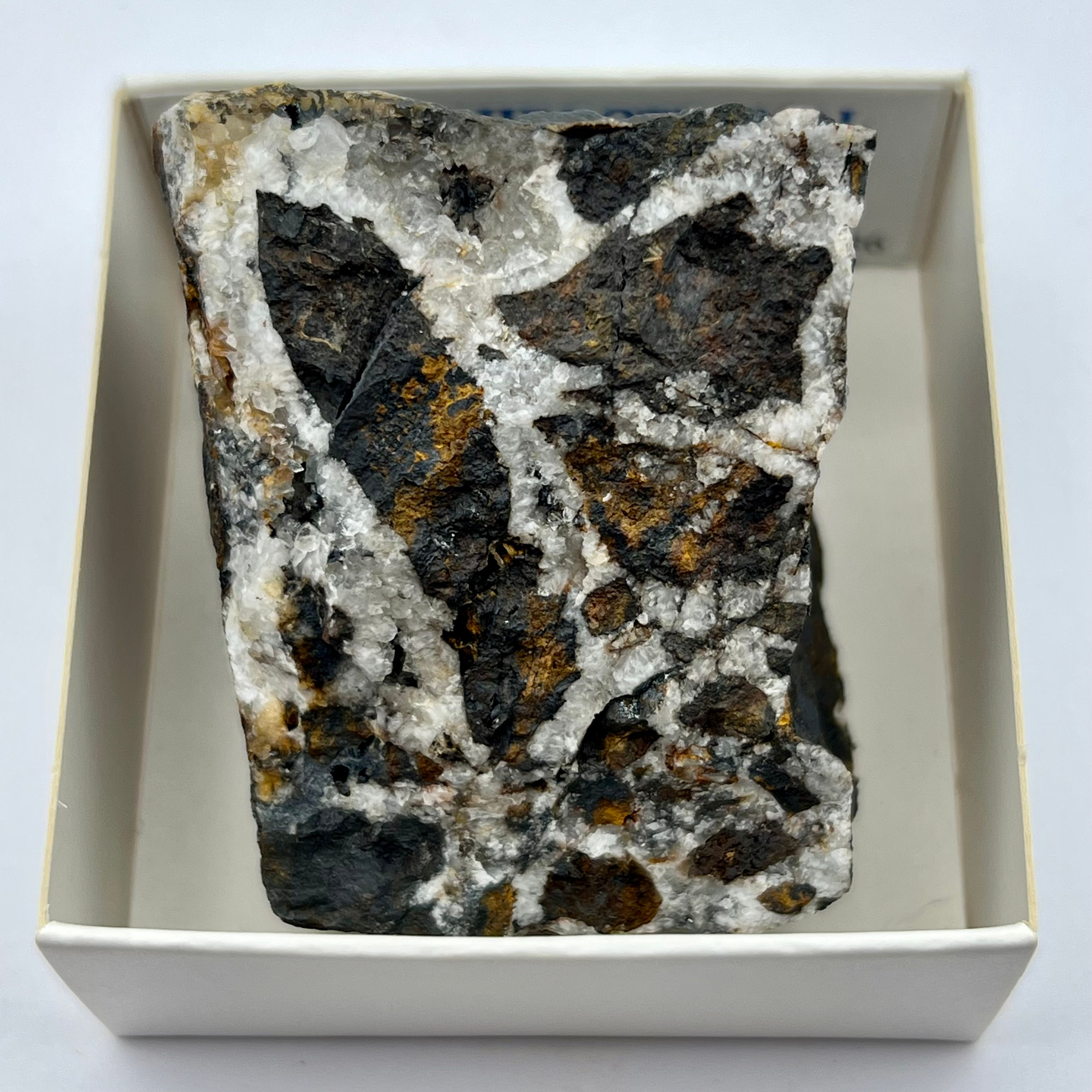Hydrothermal Breccia