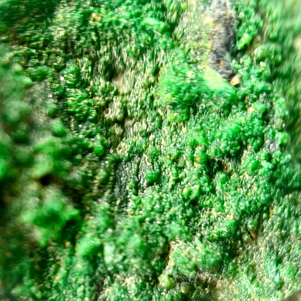 Miniatura: Conicalcite