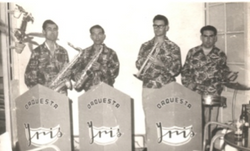 Orquesta Iris