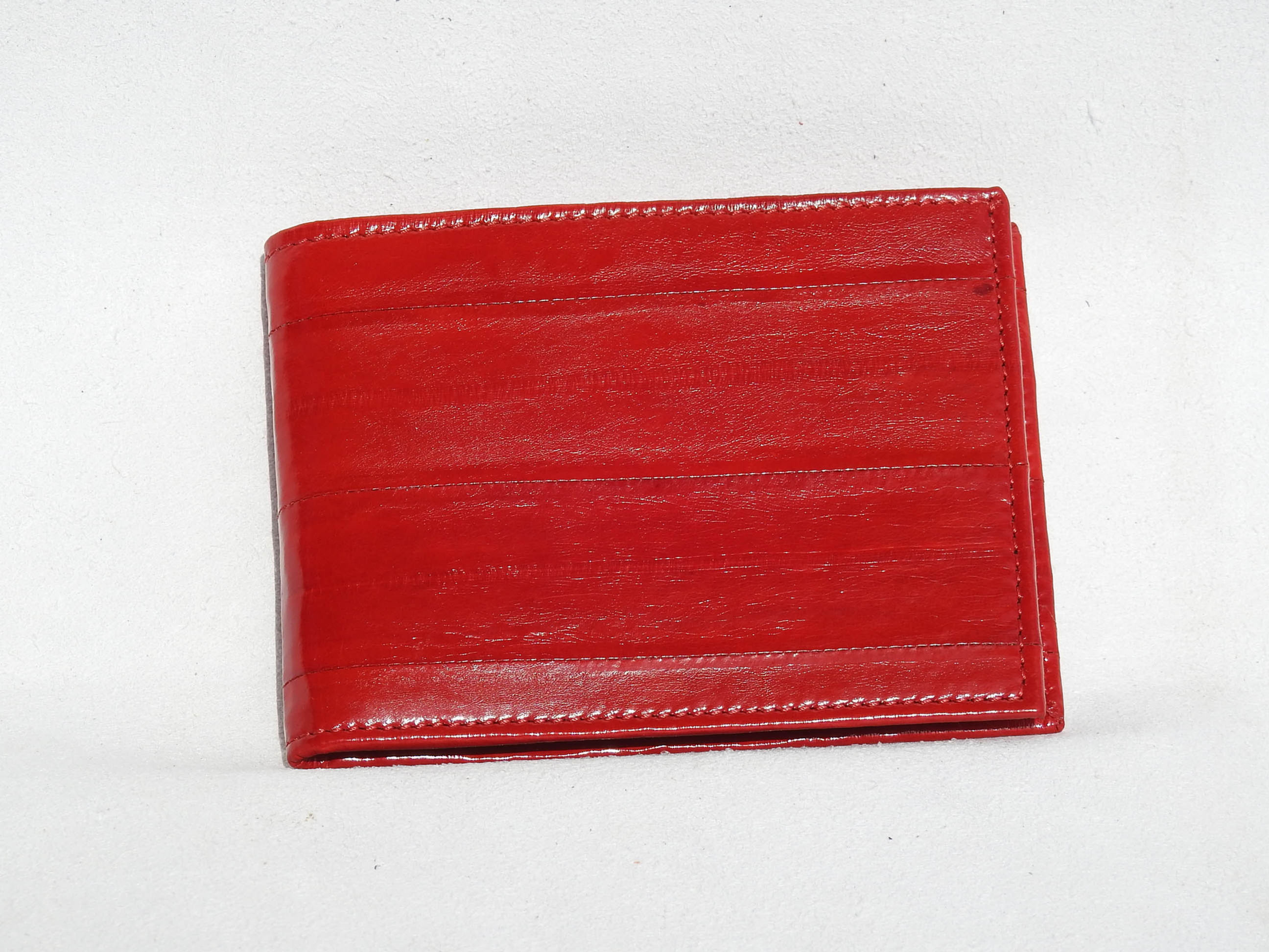 anguilla con portamonete