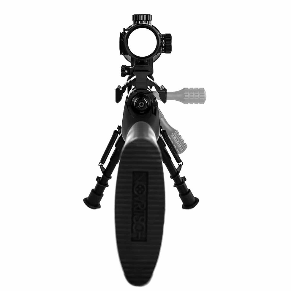Thumbnail: Novritsch SSG10 A2 Sniper Rifle