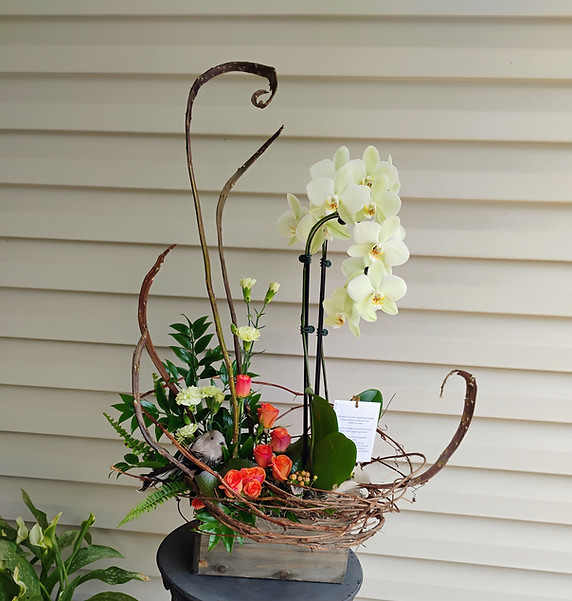 a sympathy celebration of life arrangement in a grey wooden box with a large grapevine nest and branches extending like a nest and a sail boat, with orchids, roses, and a bird tucked in low to honor someone that loved birds and gardens