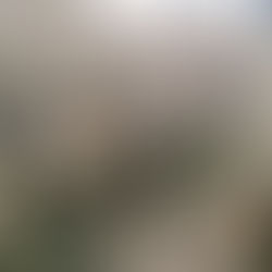 Why Do Floral Prices Seem High? The Hidden Work Behind Every Beautiful Arrangement