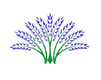 logo.png