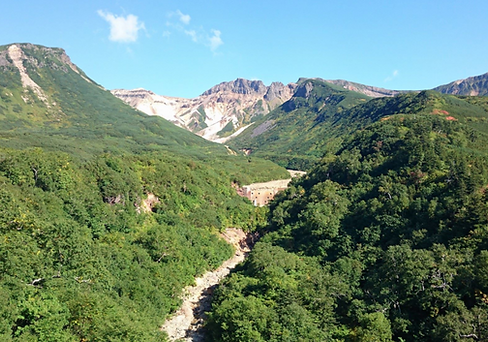 登山ハイキングフットパス.png