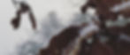 IMG-8849_edited.jpg