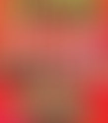 "ПЕСНИ НАШЕГО ВЕКА"