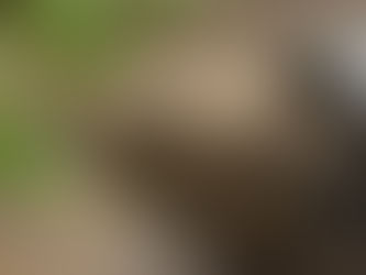 What’s your favorite trip? - first up "Nature"