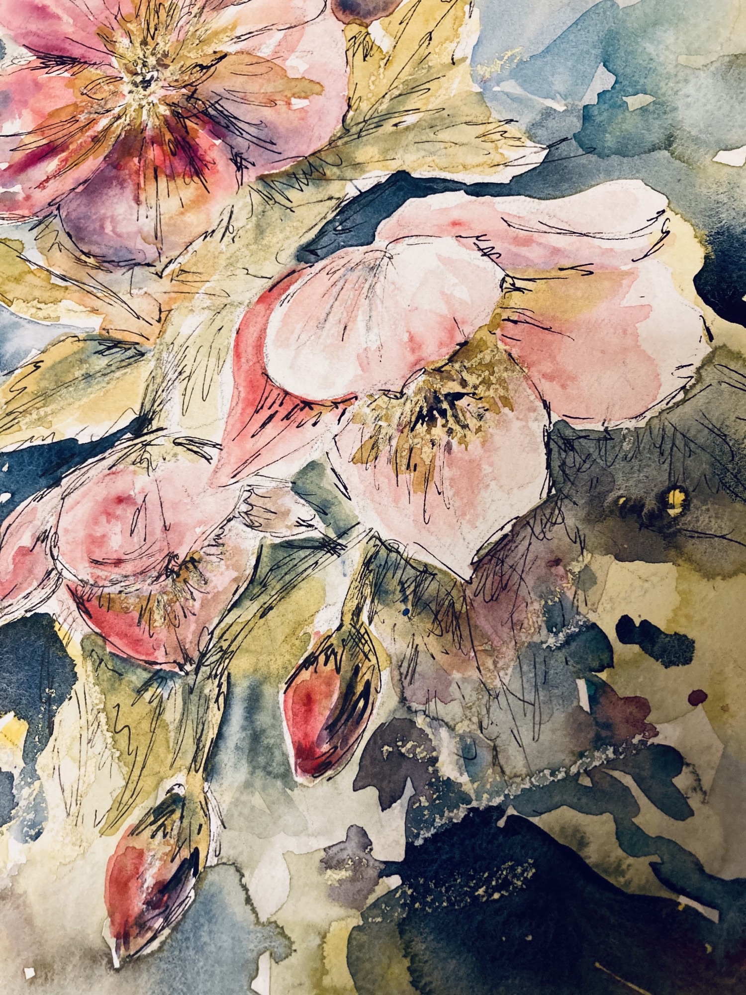 Dappled Hellebores