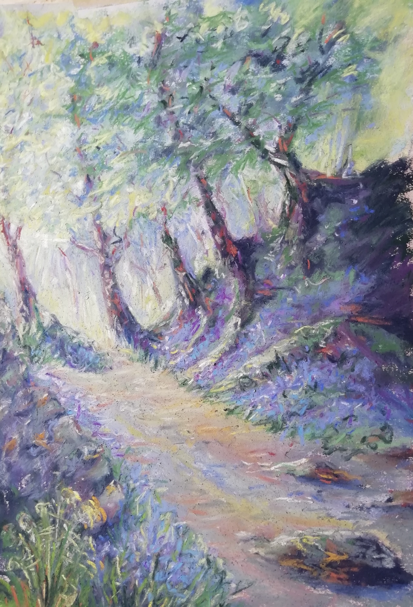 Bluebell path