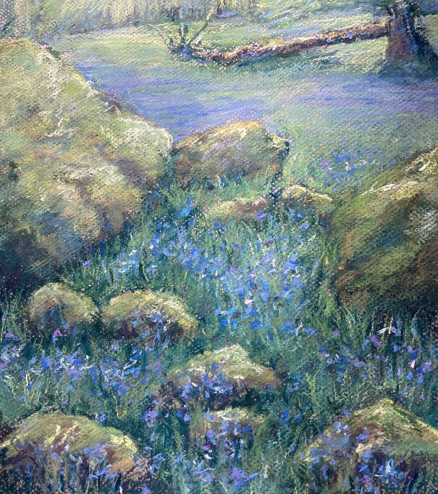Bluebell wood