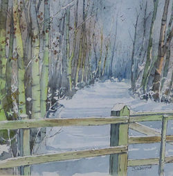 Rothbury Carriageway