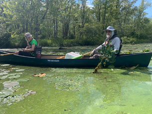 CWC’s Aquatic Invasive Species Early Detection Network