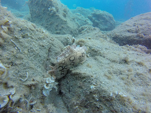 GOPR0702.JPG