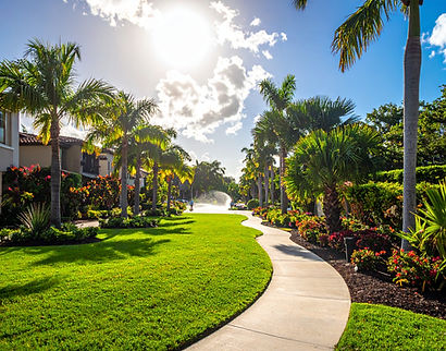 Firefly_Professional hero image for landscaping website- Beautiful upscale South Florida H