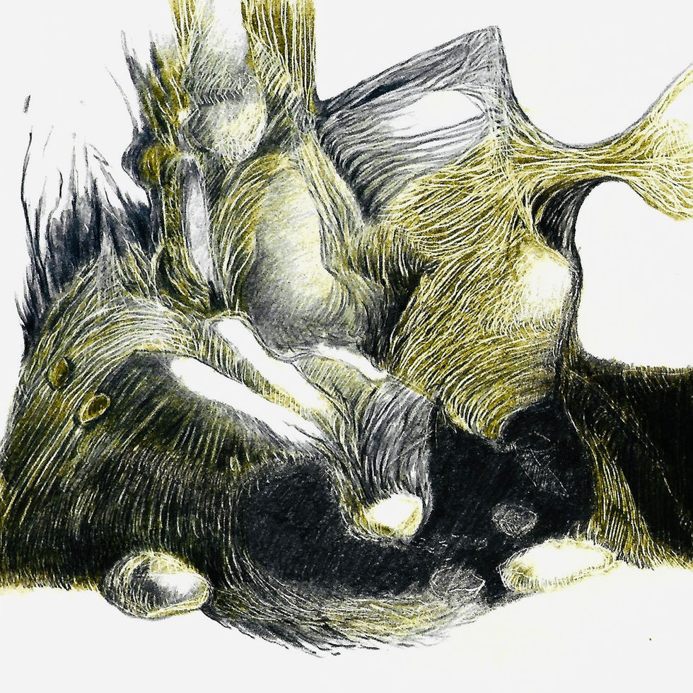 Enclos