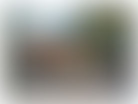 Prescribed Fire Liability in California